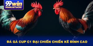 da-ga-cup-c1-dai-chien-chien-ke-dinh-cao