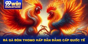 da-ga-don-thomo-hap-dan-dang-cap-quoc-te