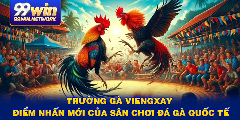 truong-ga-viengxay-diem-nhan-moi-cua-san-choi-da-ga-quoc-te